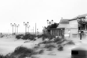 La valse du sable et du vent