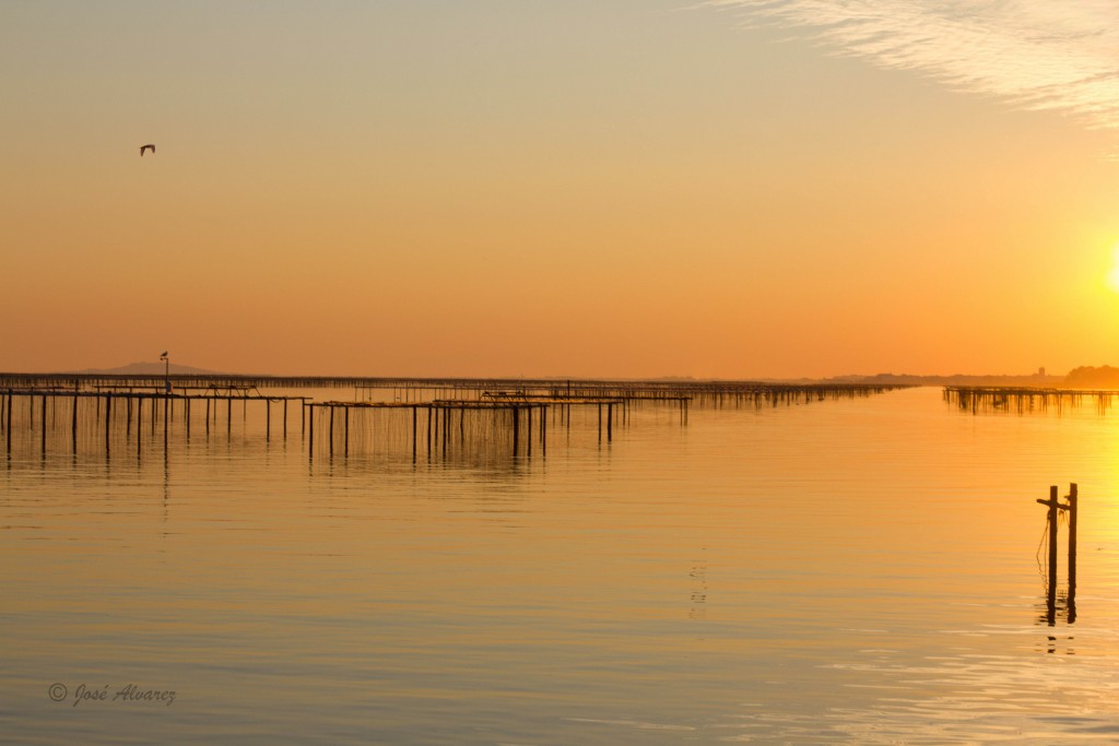 D'or et de lumières